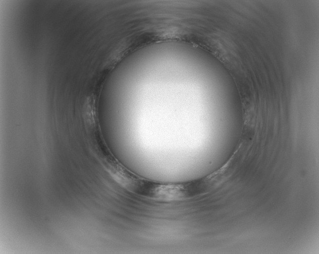 X0000071350179200607071733