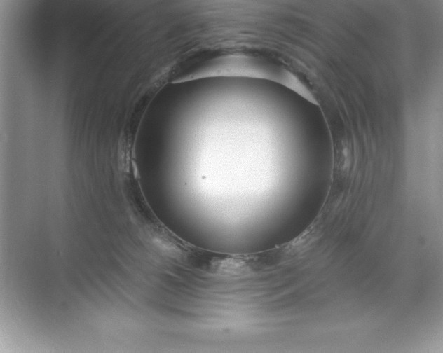 X0000071350180200607071733