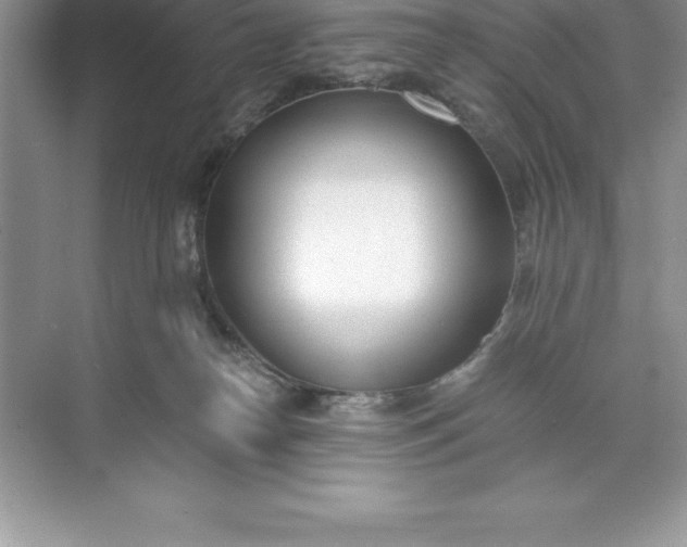 X0000071350182200607071733