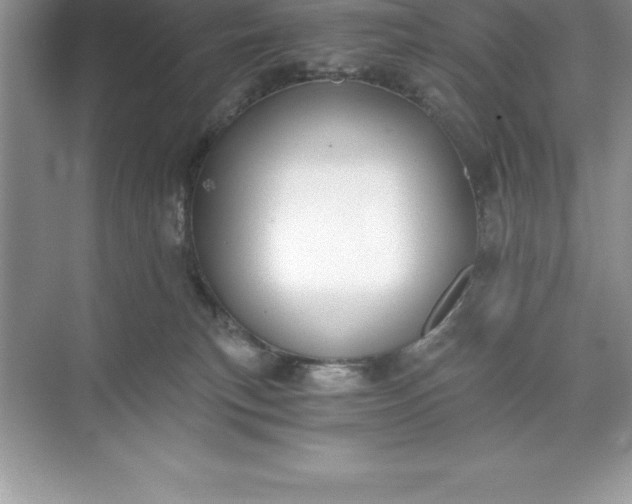 X0000071350183200607071733