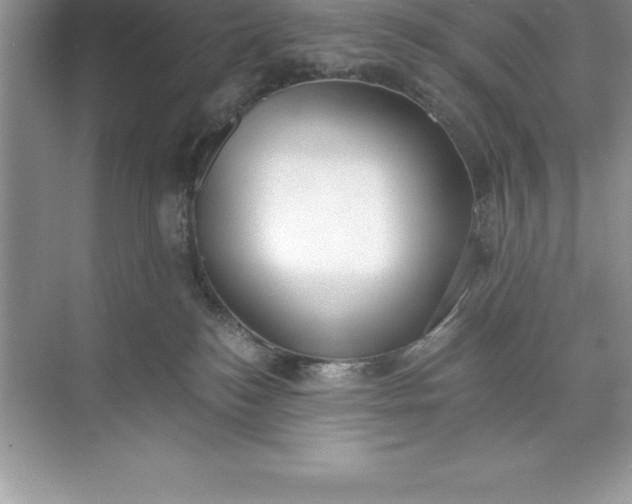 X0000071350184200607071733