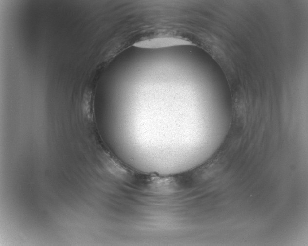 X0000071350185200607071733