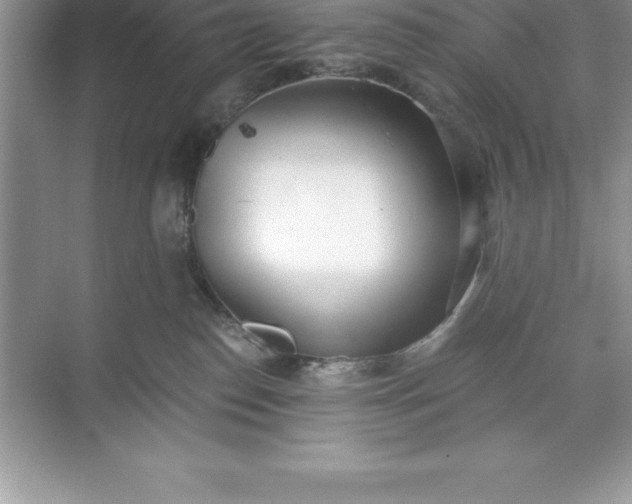 X0000071350186200607071733