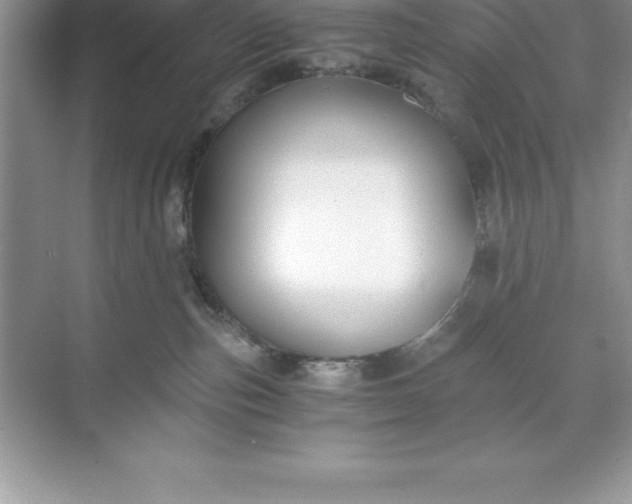 X0000071350187200607071733