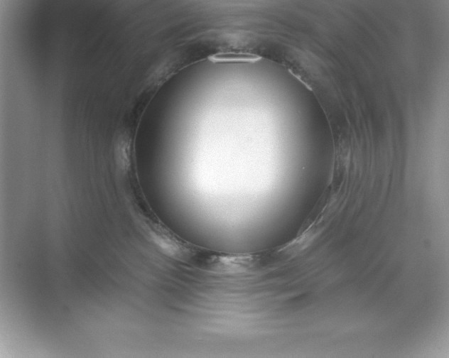 X0000071350188200607071733