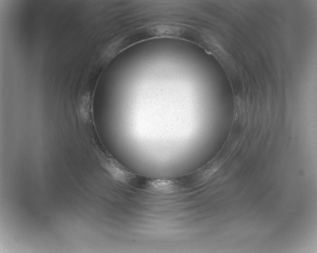 X0000071350189200607071733