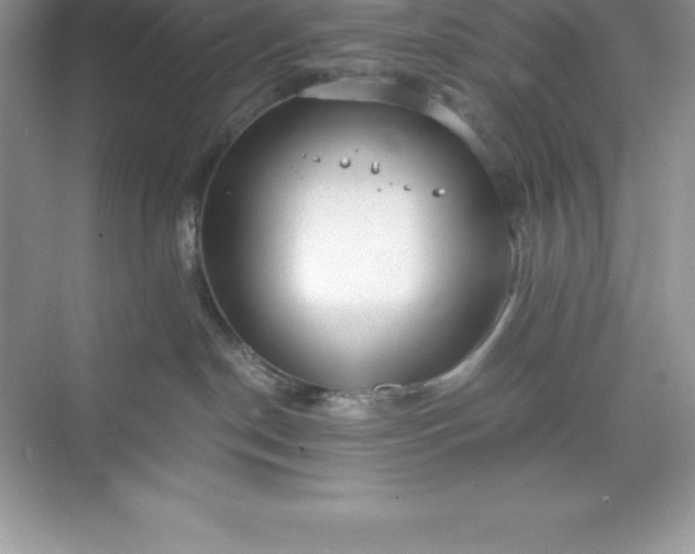 X0000071350190200607071733