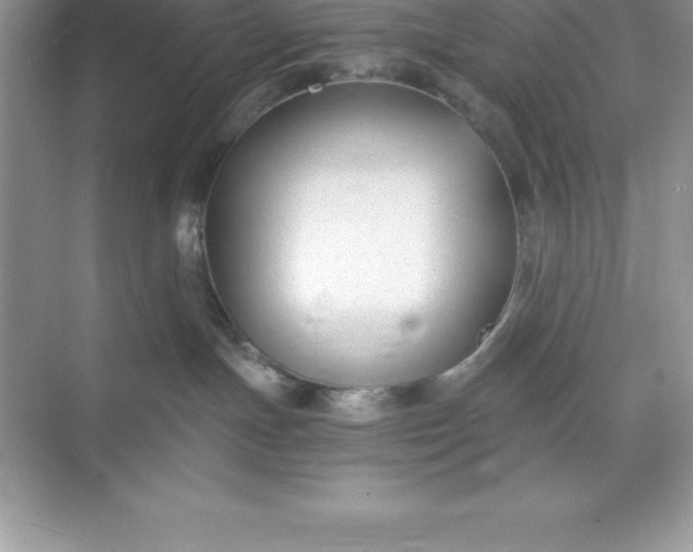 X0000071350191200607071733