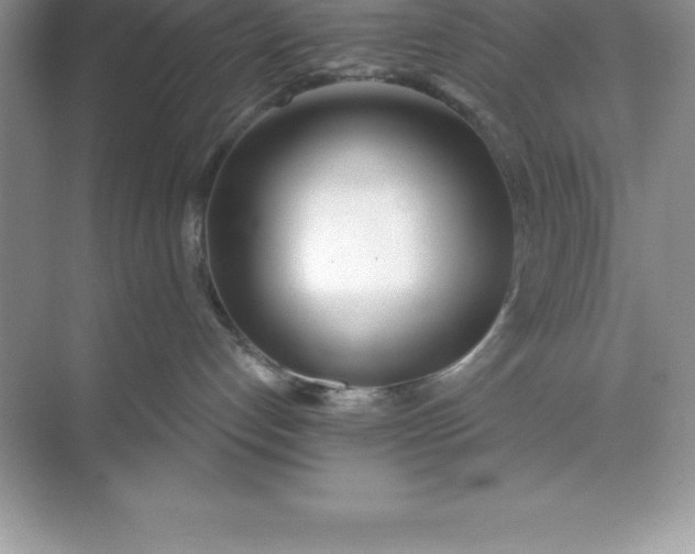 X0000071350192200607071734