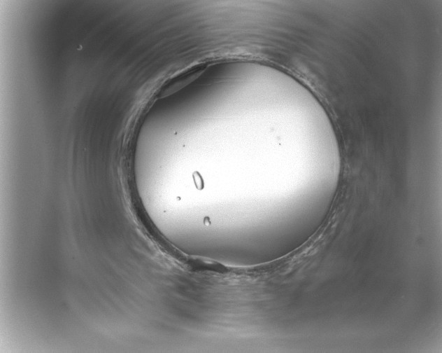 X0000071350193200607071733