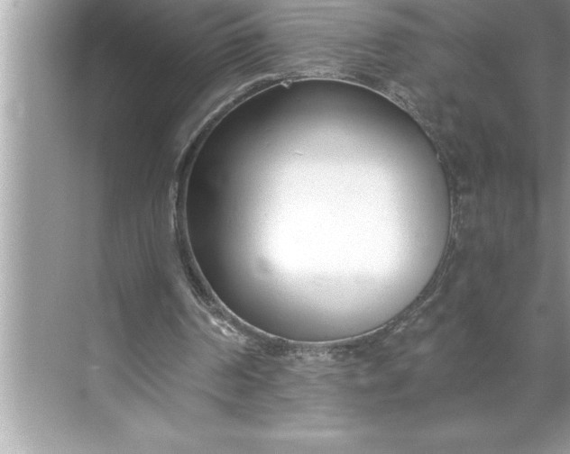 X0000071350194200607071733