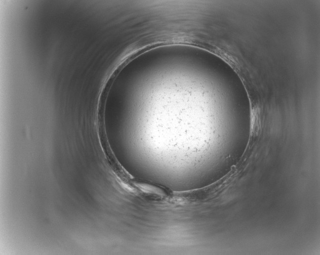 X0000071350195200607071733