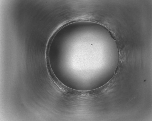 X0000071350196200607071733