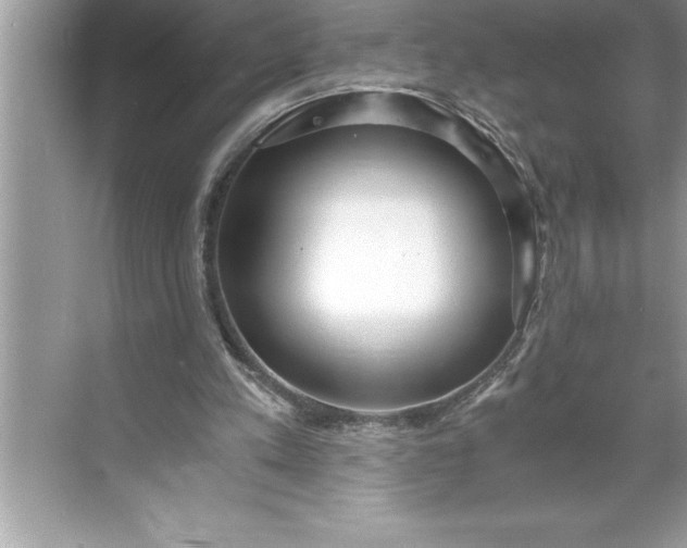 X0000071350197200607071733