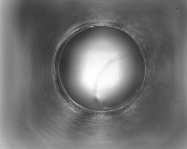 X0000071350198200607071733