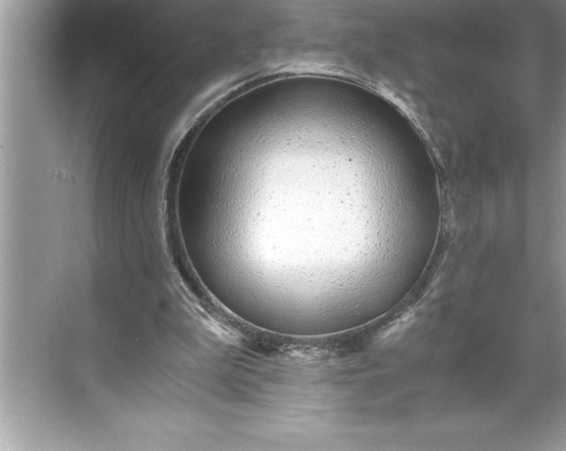 X0000071350199200607071733