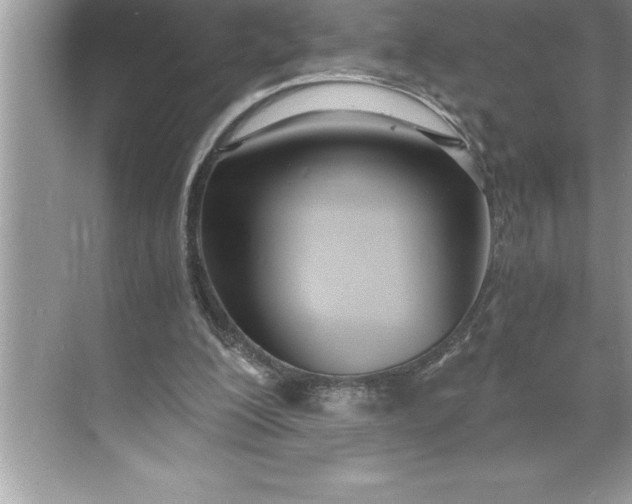 X0000071350200200607071733