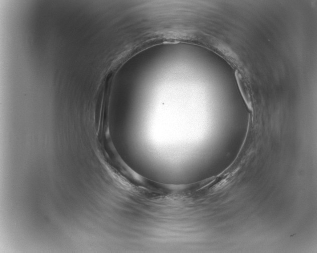 X0000071350201200607071733