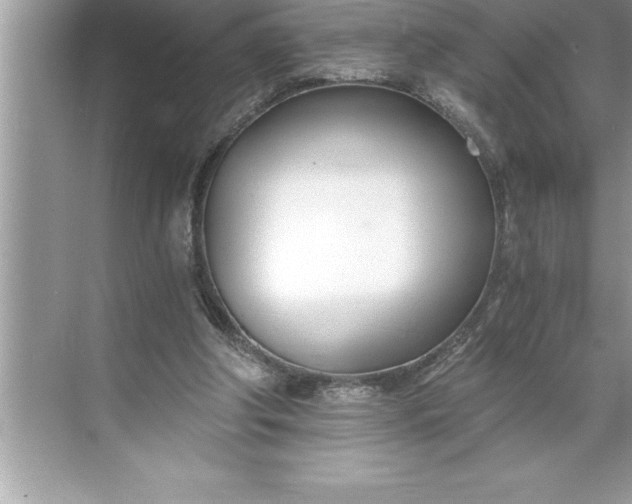 X0000071350202200607071733