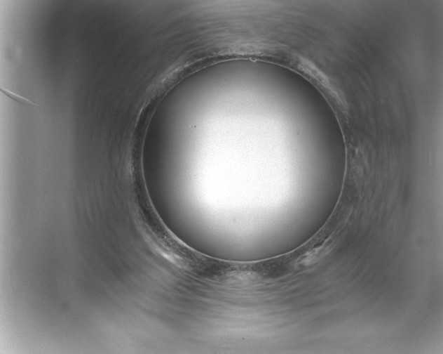 X0000071350203200607071733