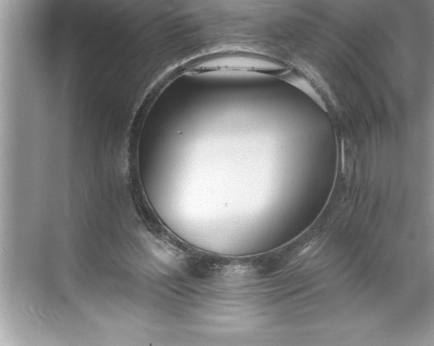 X0000071350204200607071733