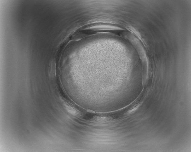 X0000071350205200607071732