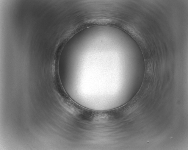 X0000071350206200607071732