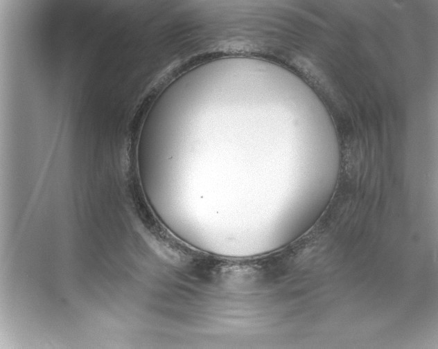 X0000071350208200607071732