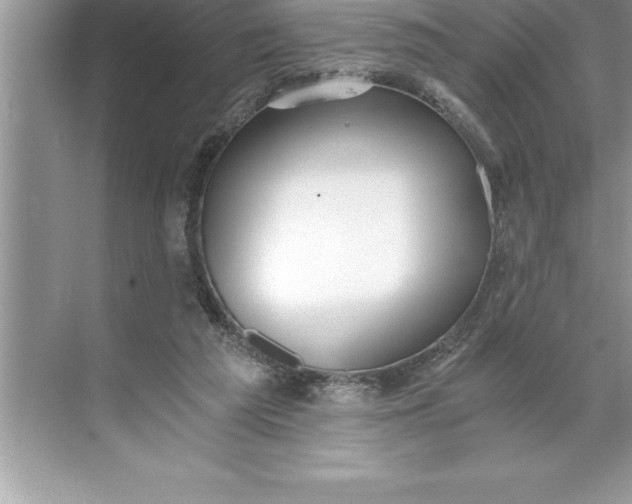 X0000071350209200607071732