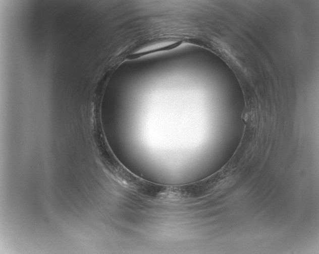 X0000071350211200607071732