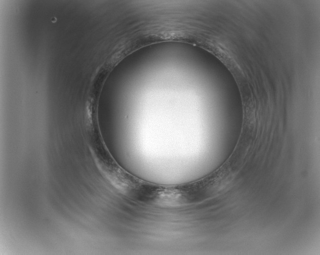 X0000071350214200607071732