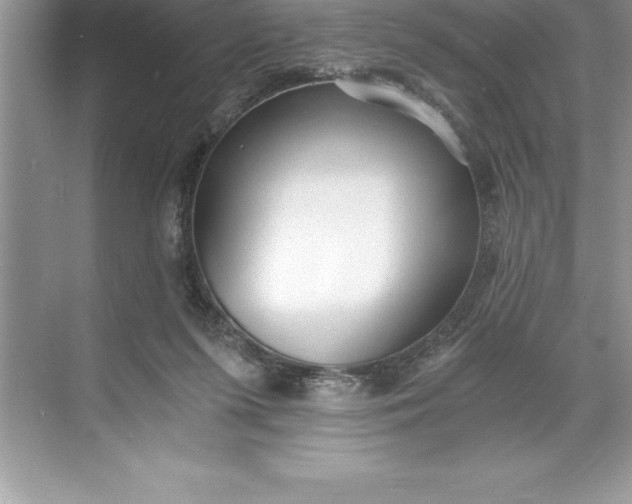 X0000071350215200607071732