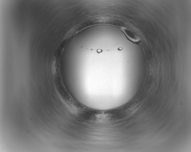 X0000071350216200607071732