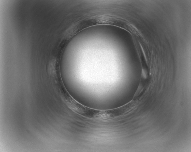 X0000071350217200607071732