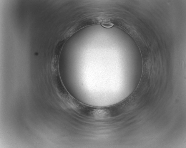 X0000071350218200607071732