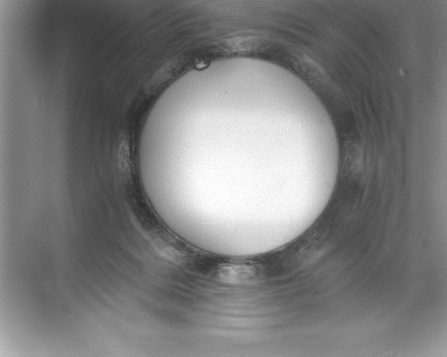 X0000071350220200607071732