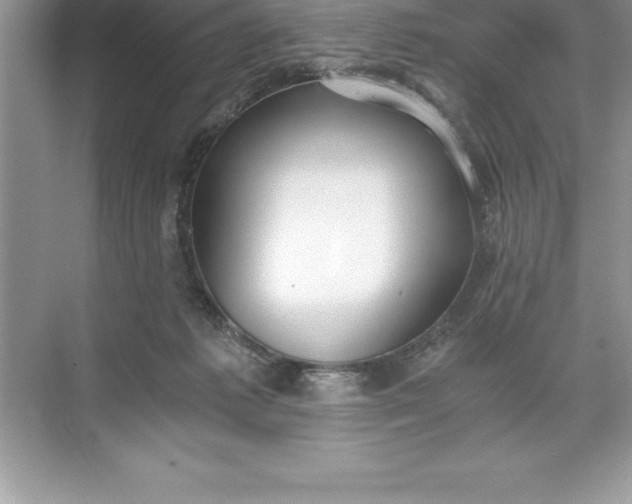 X0000071350221200607071732