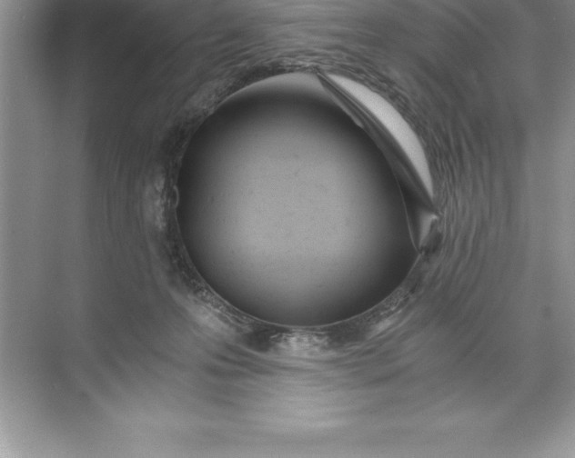 X0000071350223200607071732