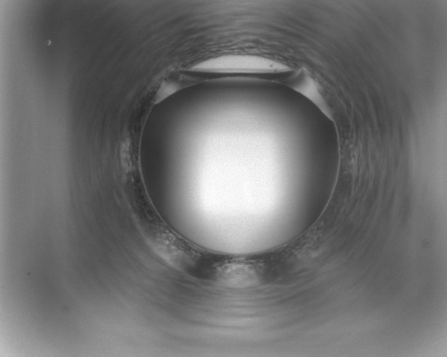 X0000071350224200607071732