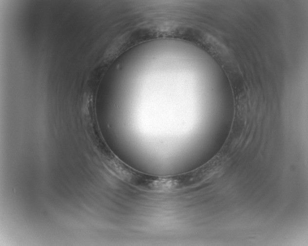 X0000071350225200607071732