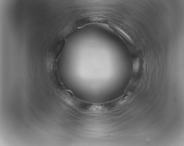 X0000071350227200607071732