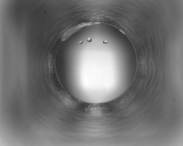 X0000071350228200607071732