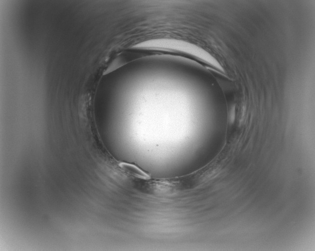 X0000071350229200607071732