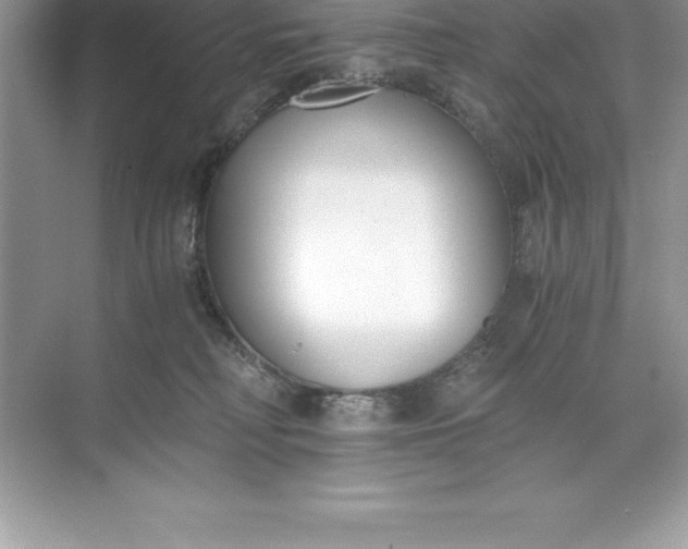 X0000071350230200607071732