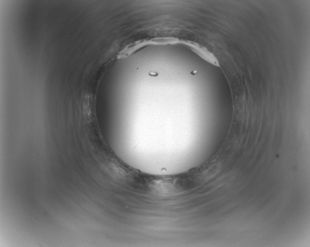 X0000071350232200607071732