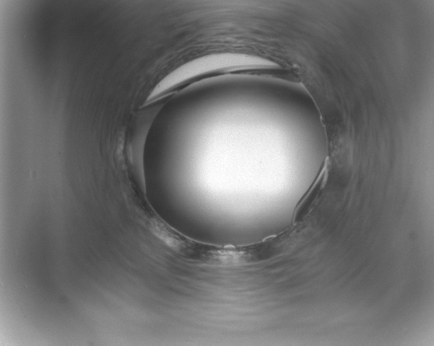 X0000071350233200607071732