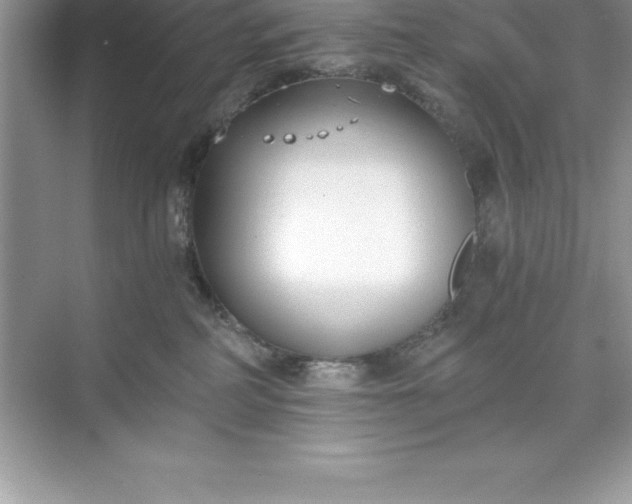 X0000071350234200607071732