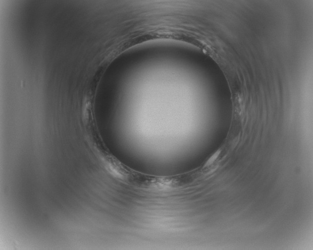 X0000071350235200607071732