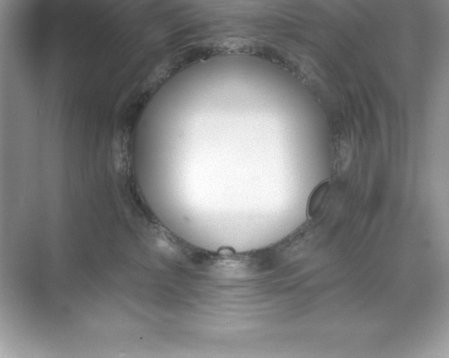 X0000071350236200607071732