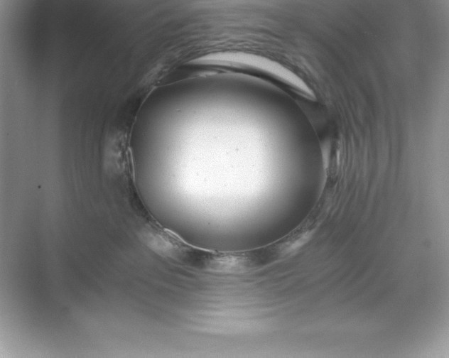 X0000071350237200607071732